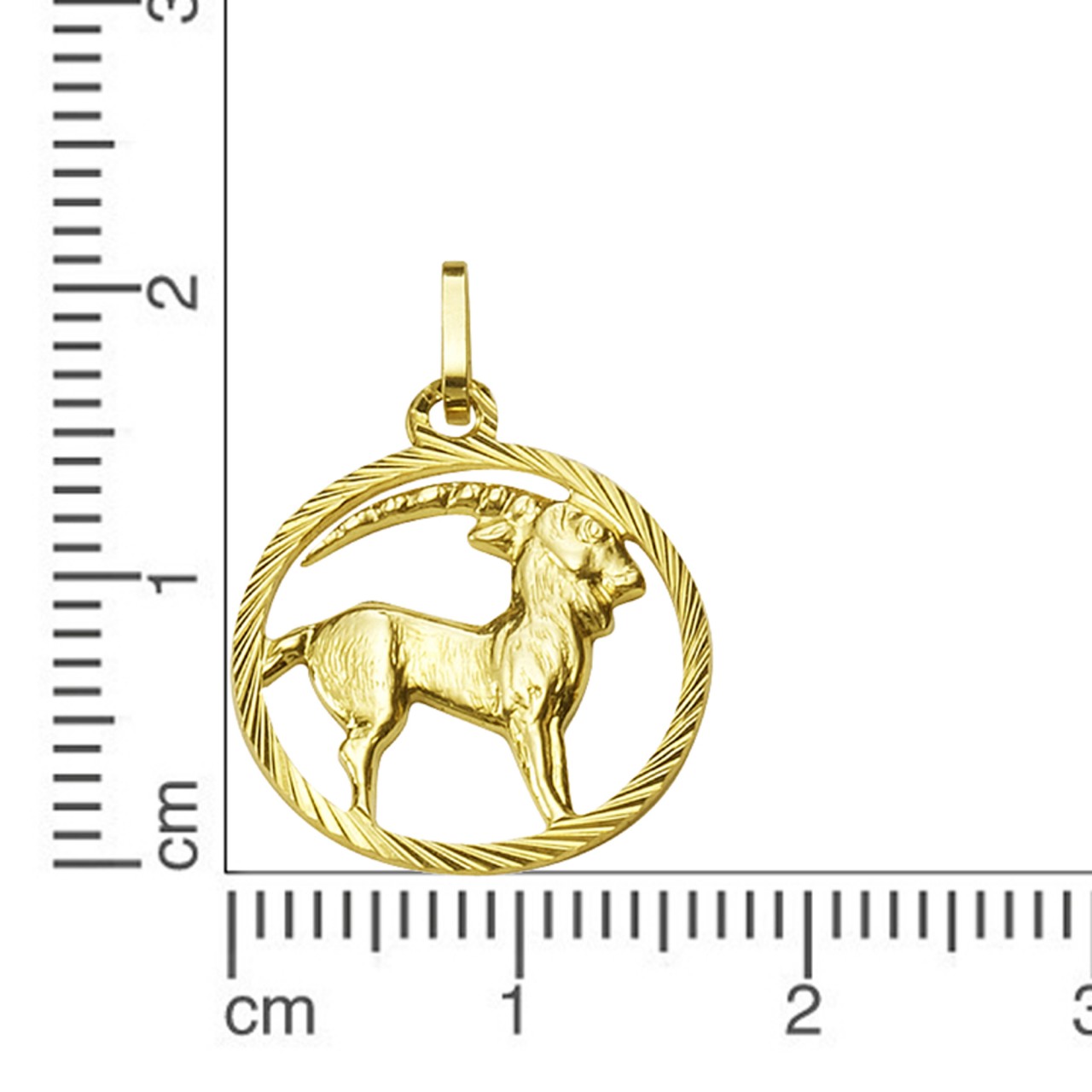 Schmuck Halsketten-Anhänger Unisex 333er Gelbgold Sternzeichen Steinbock 2,1cm günstig kaufen