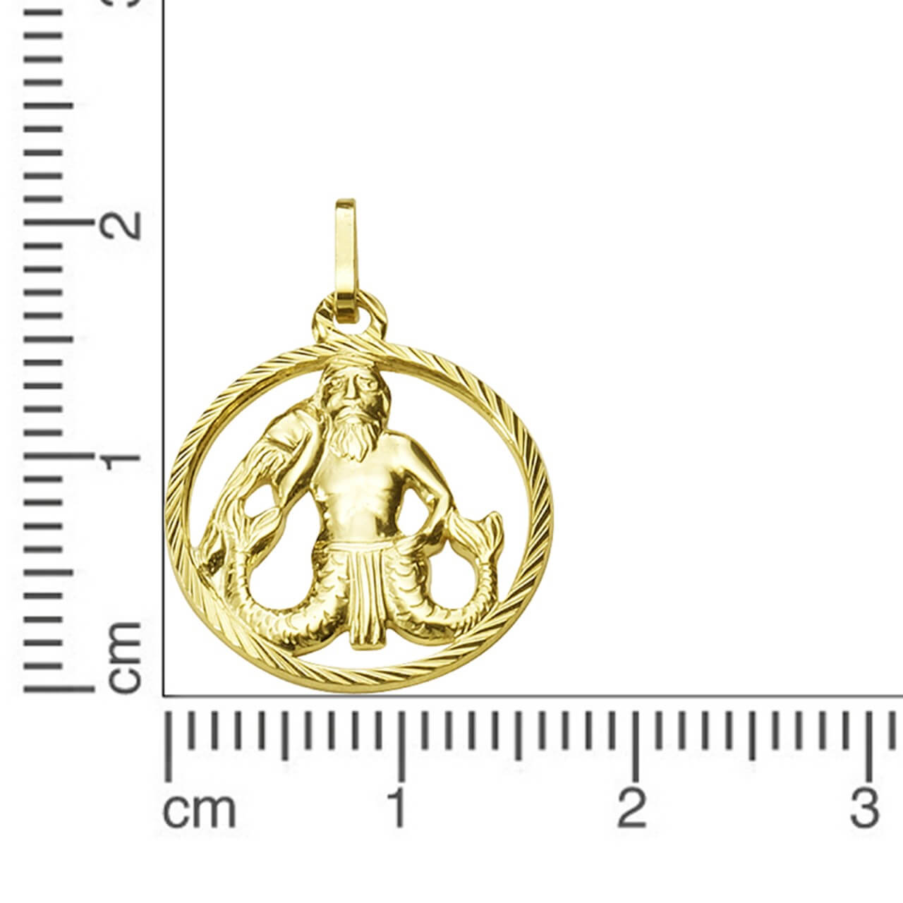 Schmuck Halsketten-Anhänger Unisex 333er Gelbgold Sternzeichen Wassermann 2,1cm günstig kaufen