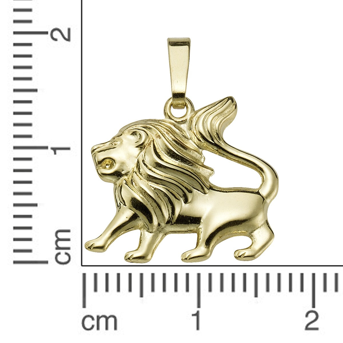 Schmuck Halsketten-Anhänger Sternzeichen Löwe Unisex 333er Gelbgold 2,0cm günstig kaufen