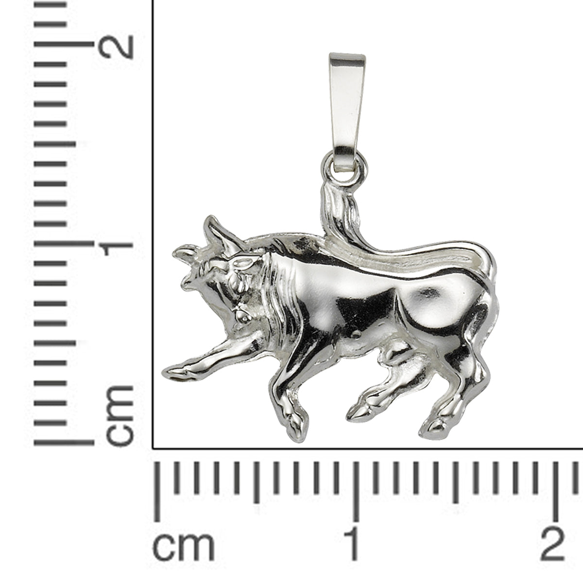 Schmuck Halsketten-Anhänger Unisex 925er Sterling Silber Sternzeichen 1,8cm günstig kaufen