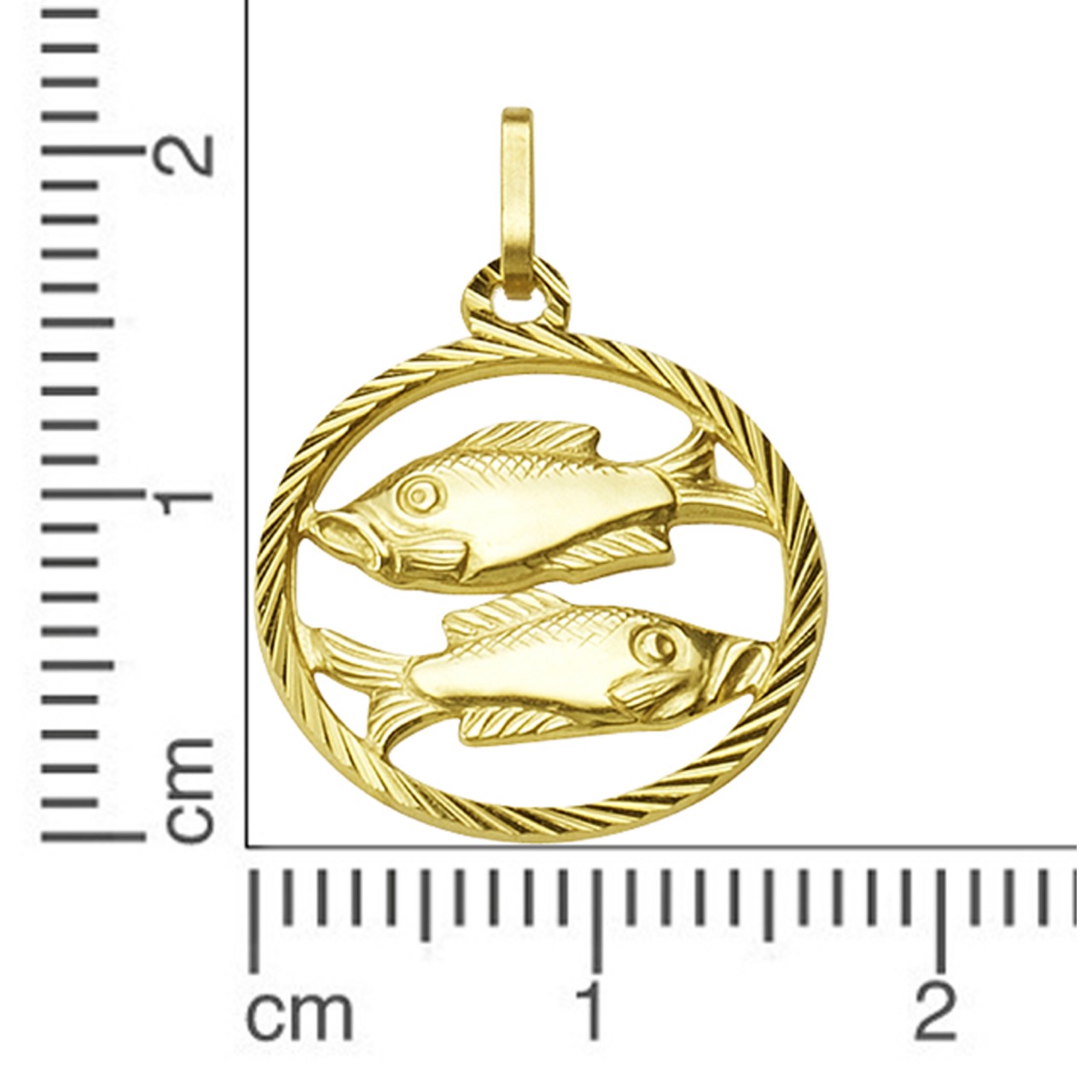 Schmuck Halsketten-Anhänger Unisex 333er Gelbgold Sternzeichen Fische 2,1cm günstig kaufen