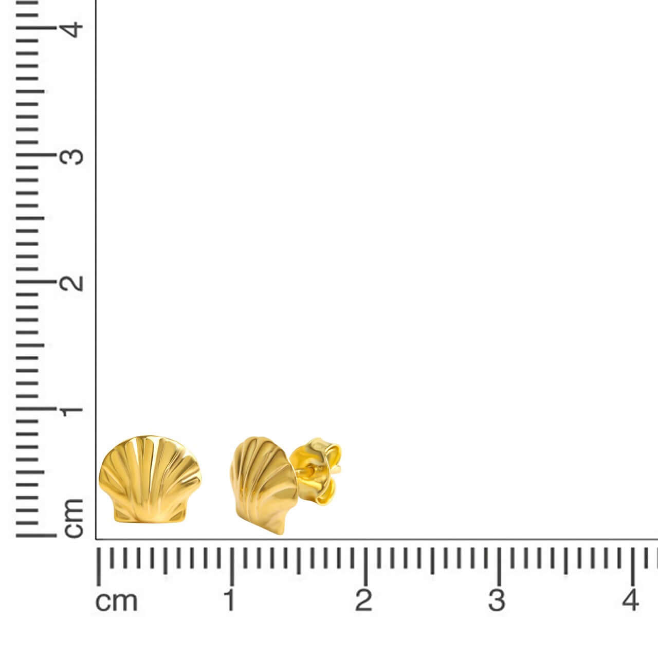 Schmuck Ohrringe Damen 333 Gold glanz Motiv Muschel 0,8cm, 1 Paar günstig kaufen