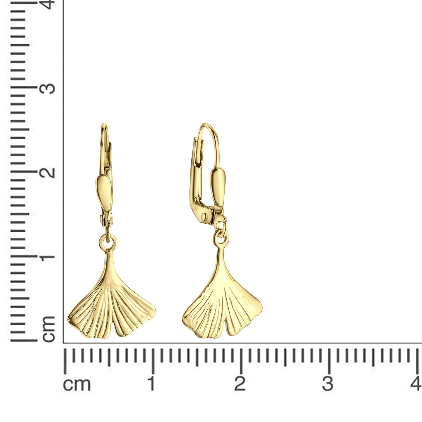 Ohrhänger 333/- Gold Gelbgold 2,8cm