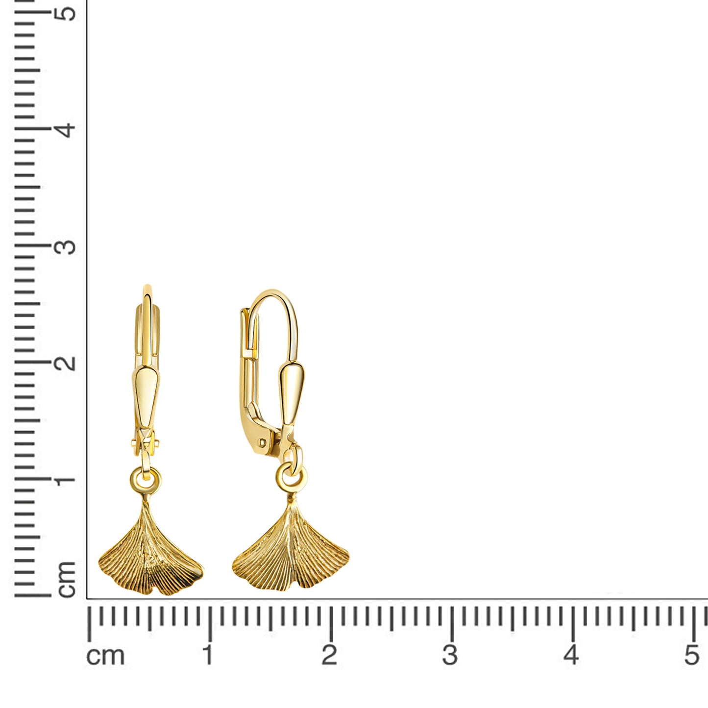 Ohrhänger 333/- Gold Gelbgold 2,5cm