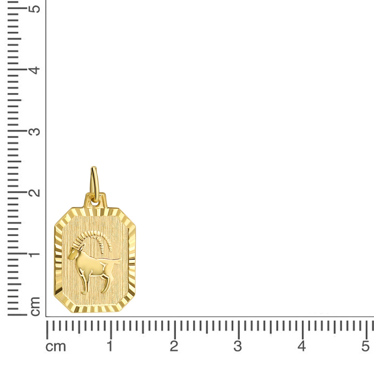 Anhänger Sternzeichen Steinbock 333/- Gold 2,2cm