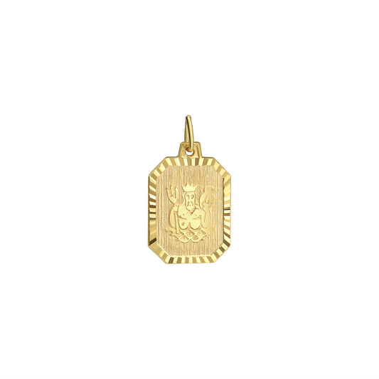 Anhänger aus 333/- Gelbgold matt/diamantiert Sternzeichen Wassermann