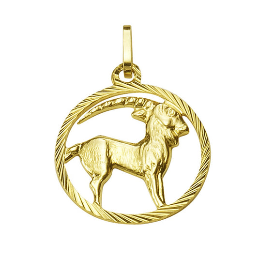 Echtschmuck Anhänger Unisex 333er Gelbgold Sternzeichen Steinbock 2