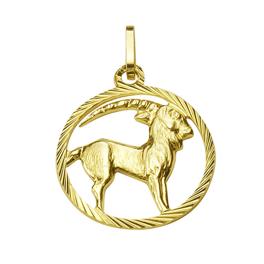 Anhänger Sternzeichen Steinbock 333/- Gelbgold