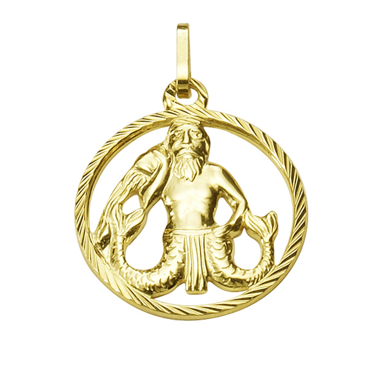 Echtschmuck Anhänger Unisex 333er Gelbgold Sternzeichen Wassermann 2